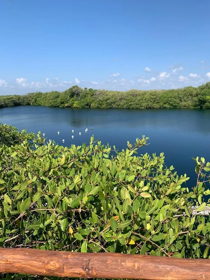 Hotel Casa Borush Tulum Glamping Fruit & Cenote Experience Tente de luxe