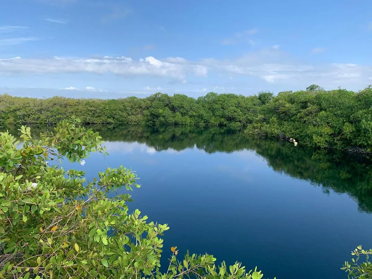 Hotel Casa Borush Tulum Glamping Fruit & Cenote Experience Tente de luxe