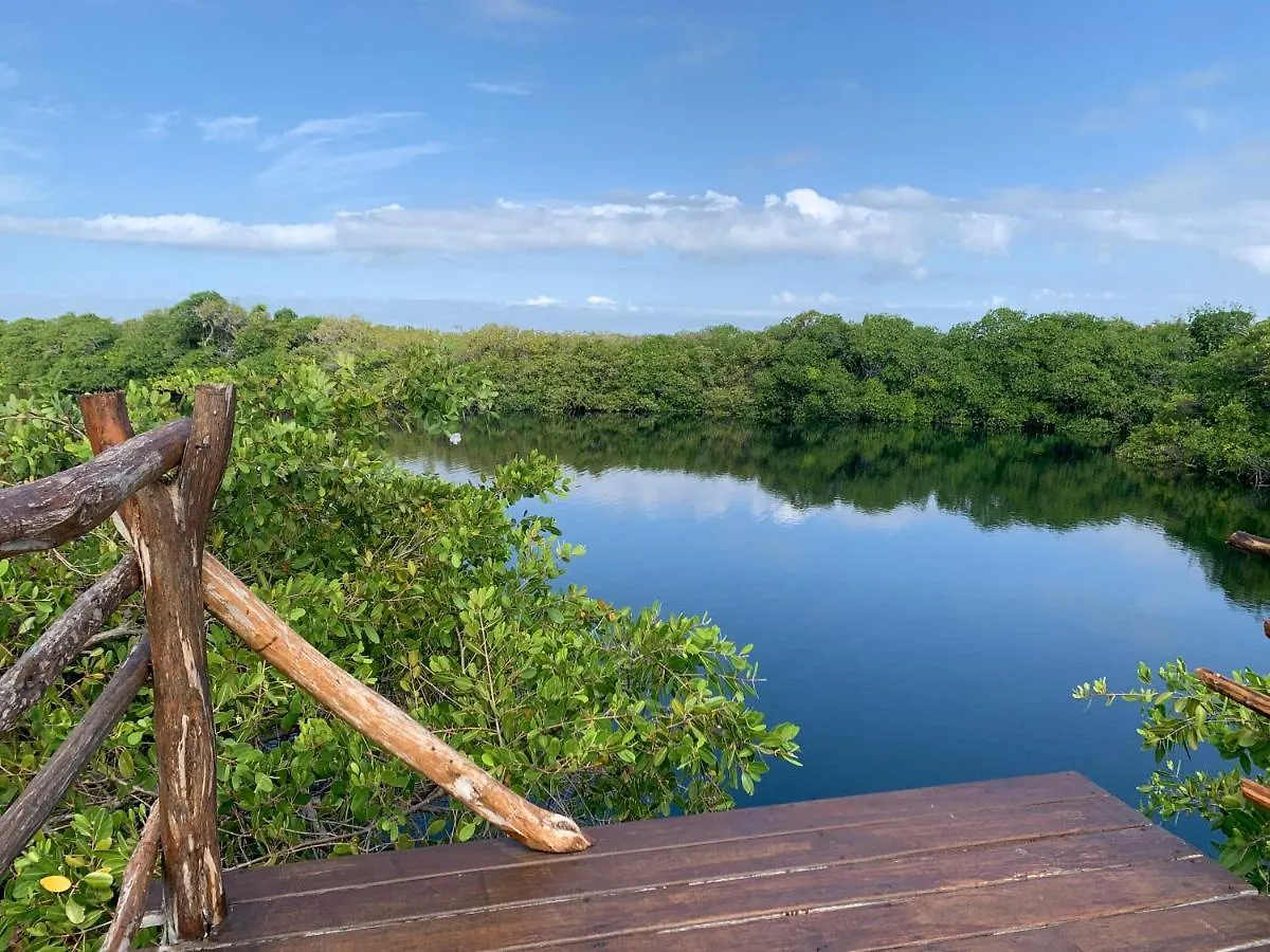 Tente de luxe Hotel Casa Borush Tulum Glamping Fruit & Cenote Experience
