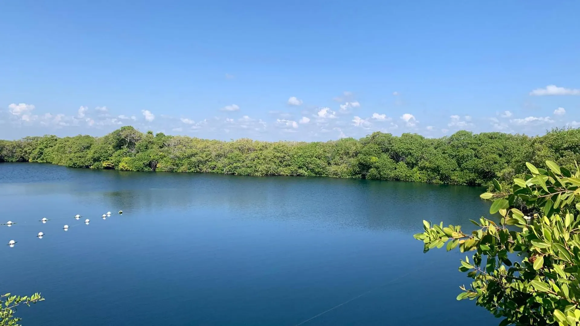 Hotel Casa Borush Tulum Glamping Fruit & Cenote Experience 0*,  Mexique