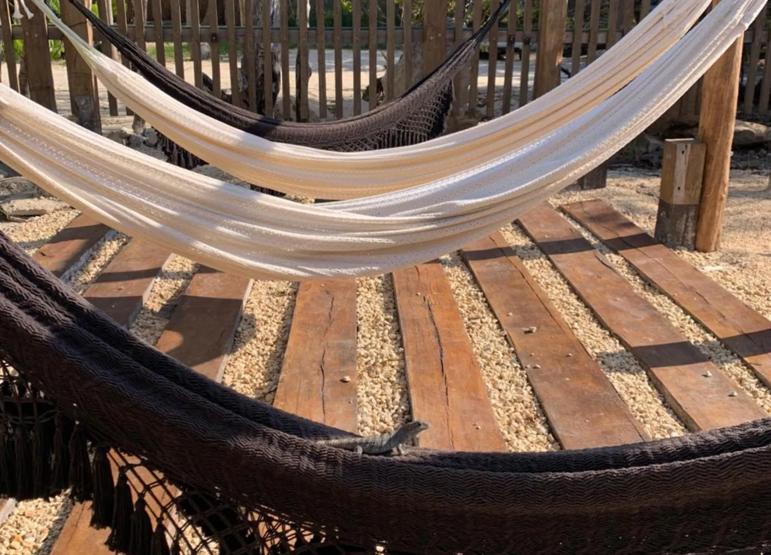 Tente de luxe Hotel Casa Borush Tulum Glamping Fruit & Cenote Experience Mexique