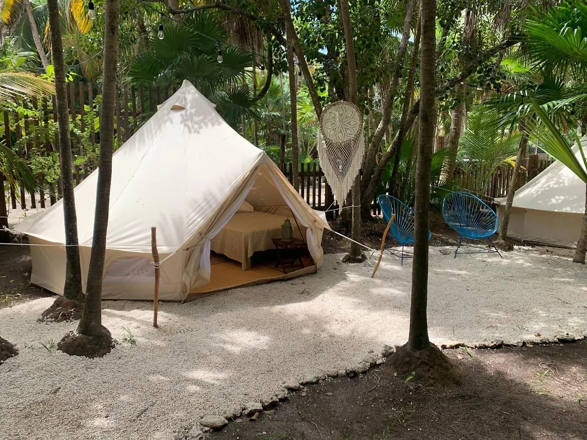 Hotel Casa Borush Tulum Glamping Fruit & Cenote Experience 0*,
