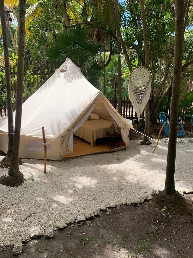 Luxuszelt Hotel Casa Borush Tulum Glamping Fruit & Cenote Experience Mexiko