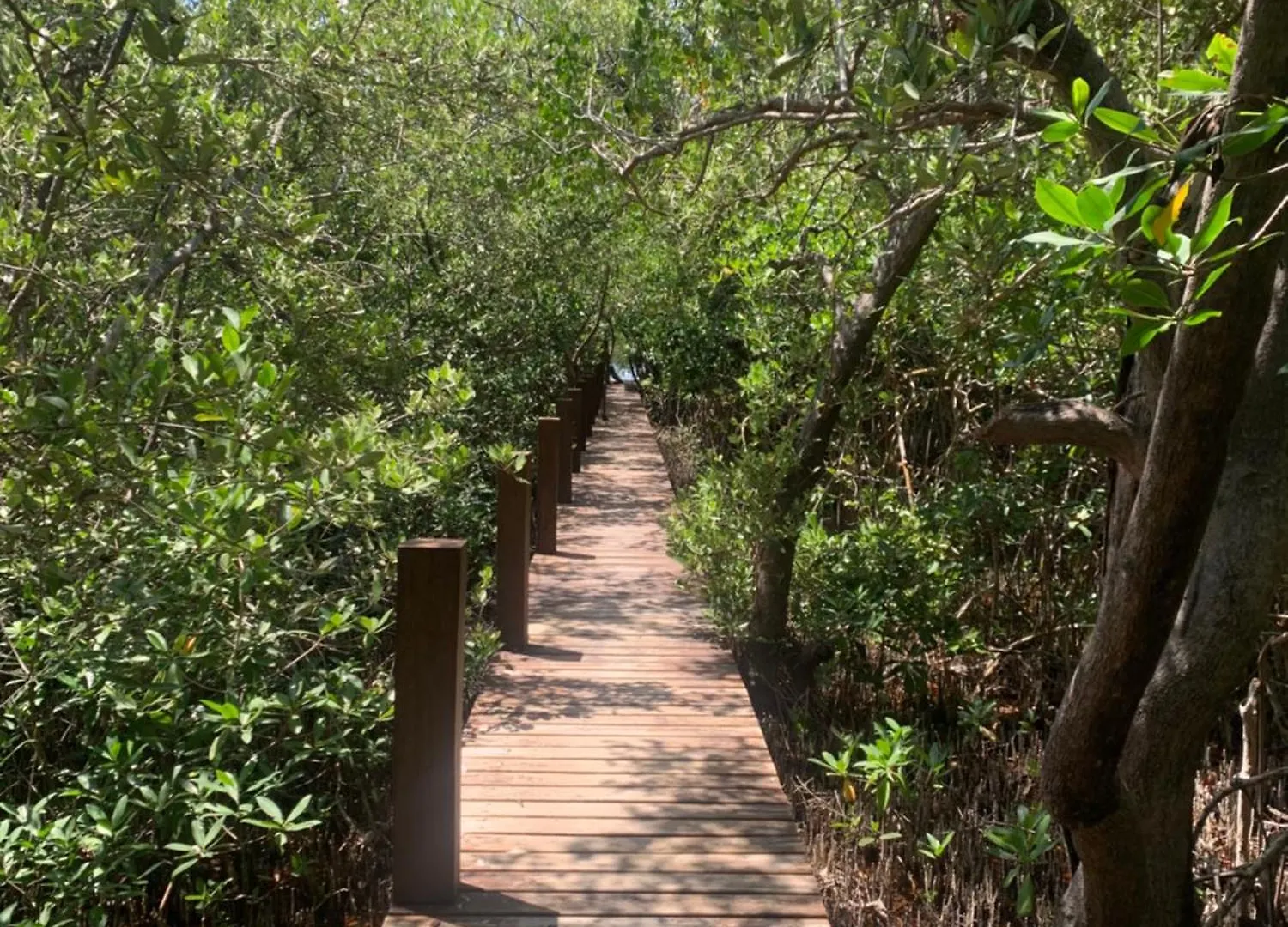 Hotel Casa Borush Tulum Glamping Fruit & Cenote Experience