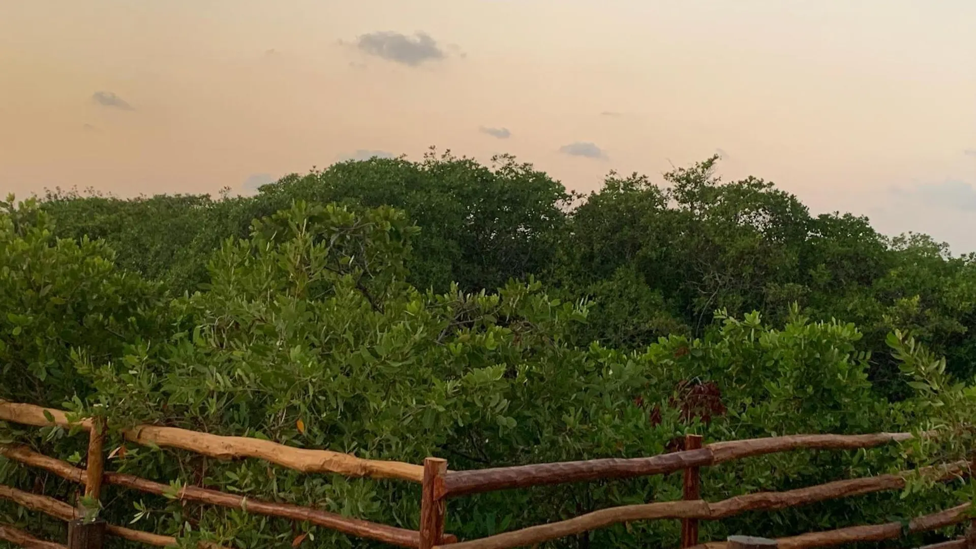 Hotel Casa Borush Tulum Glamping Fruit & Cenote Experience
